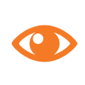 Vision