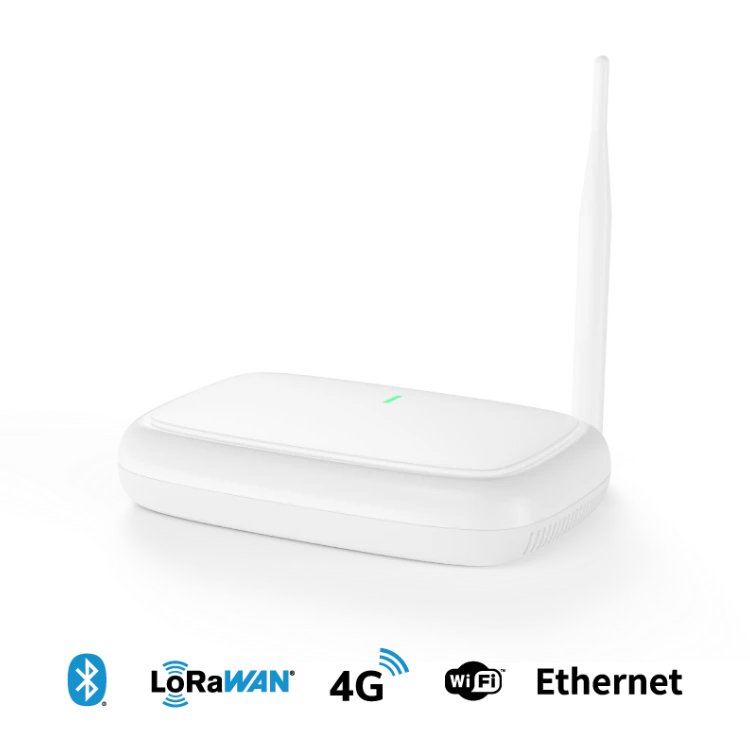 MG6 4G LoRaWAN