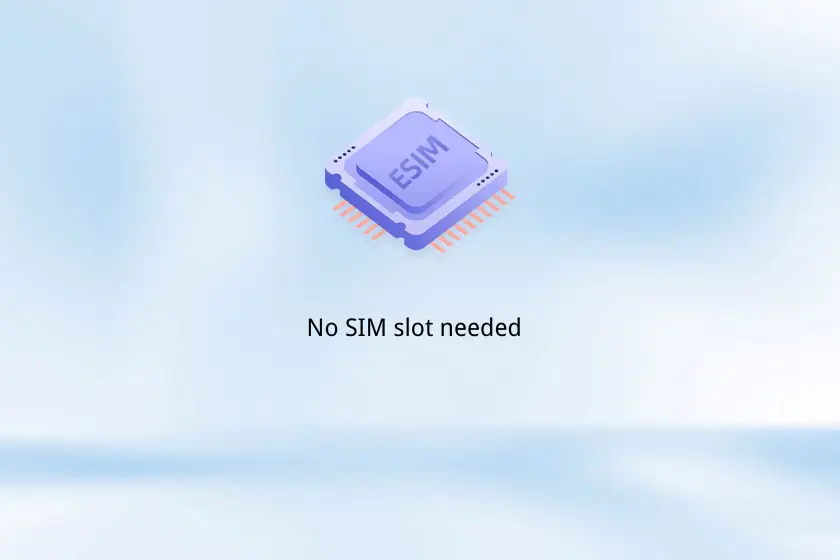 esim card size