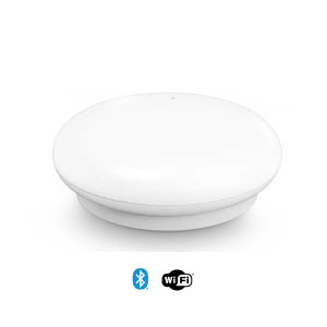 MSR01