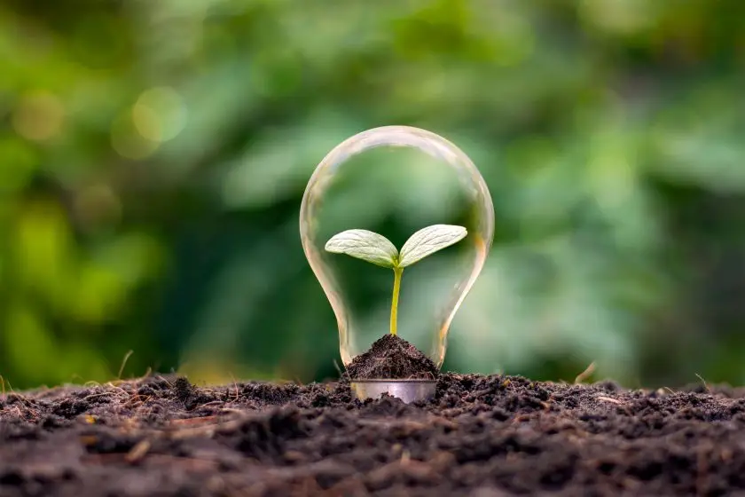 LoRaWAN® mit ESG: Die entscheidende Rolle bei Nachhaltigkeitsinitiativen