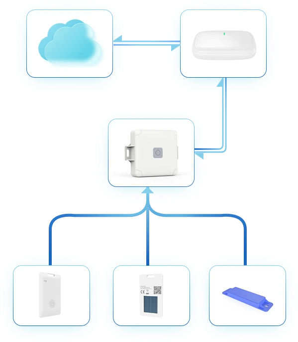 Real-Time Data Flow